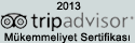 Trip Advisor